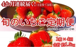 【ふるさと納税】先行予約 旬のいちご定期便 とちおとめ やよいひめ 12月〜3月発送 4か月 毎月 約400g いちご イチゴ 苺 定期便 人気 定