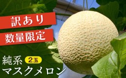 【ふるさと納税】【訳あり】純系マスクメロン２玉【７〜８月発送分】