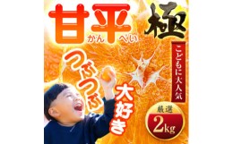 【ふるさと納税】「夕やけブランド」ぷるぷる食感＜甘平＞2kg＜C49-63＞_ みかん ミカン 柑橘 甘平 かんぺい 果物 くだもの フルーツ 甘