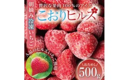 【ふるさと納税】完熟朝摘み冷凍いちご『こおりヒルズ』500g＜ヘタなし・急速冷凍＞宮城のいちご農家から直送【1497567】