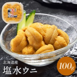 【ふるさと納税】【予約販売開始！】 北海道産 塩水ウニ 100g【0211701】