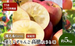 【ふるさと納税】【11月〜12月発送】權之丞farm 葉とらずりんご 高徳 (こうとく) 家庭用 約5kg【弘前市産・青森りんご】