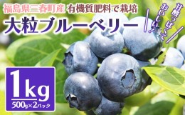 【ふるさと納税】三春ブルーベリー 500g×2パック／計1kg 【期間限定 三春町産 生ブルーベリー 大粒 冷蔵 福島県 三春町 三春ブルーベリ