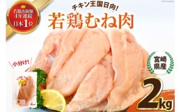 【ふるさと納税】鶏肉 セット 宮崎県産若鶏むね肉2？ [エム・ティ・シー 宮崎県 日向市 452060672] 冷凍 個包装 小分け 国産 国内産 宮崎