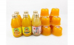 【ふるさと納税】AT6242_和歌山有田産みかん・きよみ・もものフルーツジュース200ml×6本とゼリー12個セット