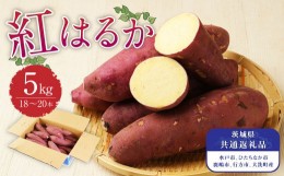 【ふるさと納税】茨城県産 さつまいも【紅はるか】5kg （茨城県共通返礼品・水戸市、ひたちなか市、鹿嶋市、行方市、大洗町産）  【2024