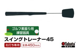 【ふるさと納税】No.838 タバタ　スイングトレーナー45（右打ち専用）GV0237 ／ 素振り用練習器具 Tabataオリジナルグリップ 茨城県