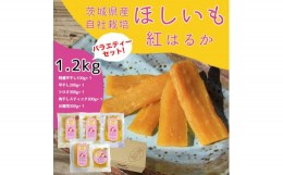 【ふるさと納税】山田のややこ-おいものこ-ほしいもバラエティセット1.2kg【スイーツ ダイエット 小分け ギフト プレゼント 国産 無添加 