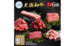 【ふるさと納税】土佐和牛詰め合わせ6種 長期熟成肉 6種 詰め合わせ セット 田野屋銀象 完全天日塩付き 牛肉 肉 お肉 和牛 国産 牛 赤身 