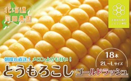 【ふるさと納税】【先行予約】北海道七飯町産とうもろこし「ゴールドラッシュ」18本セット ふるさと納税 人気 おすすめ ランキング とう