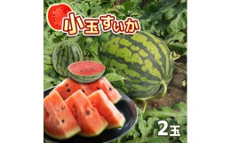 【ふるさと納税】小玉 すいか (約2kg) 2玉 ひとりじめ 計4kg 【2024年6月上旬〜7月上旬発送予定】