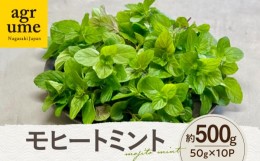 【ふるさと納税】水耕栽培 モヒートミント 約50g×10袋 長与町/アグリューム [EAI133]