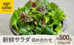 【ふるさと納税】水耕栽培 新鮮サラダ野菜の詰め合わせセット 約100g×5袋 長与町/アグリューム [EAI136]