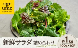 【ふるさと納税】水耕栽培 新鮮サラダ野菜の詰め合わせセット 約100g×10袋 長与町/アグリューム [EAI137]