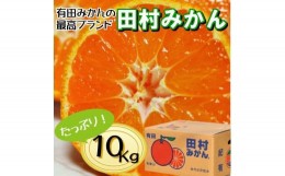 【ふるさと納税】高級みかん秀 田村みかん 約10kg 【2025年1月発送分】【NGT13】