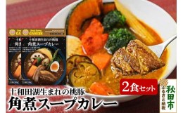 【ふるさと納税】桃豚角煮スープカレー（1食分）×2個