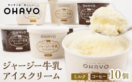 【ふるさと納税】オハヨー乳業 ジャージー牛乳アイスクリーム 120ml×10個（ミルク・コーヒー）ギフト