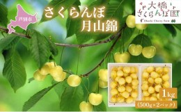 【ふるさと納税】【先行受付】さくらんぼ 月山錦1kg（500g×2パック）最高級 サクランボ 贈り物 ギフト 黄 希少 3L 大 [?5342-0283]