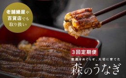 【ふるさと納税】【3回定期便】襷屋 森のうなぎ  炭火蒲焼 2尾(220g以上)セット  A-AA-B09A