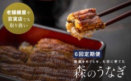 【ふるさと納税】【6回定期便】襷屋 森のうなぎ  炭火蒲焼 2尾(220g以上)セット  A-AA-C09A