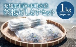 【ふるさと納税】【愛媛県・佐田岬直送】木嶋水産の釜揚げしらす 1kg（250g×4パック）｜魚介類 海産物 魚 釜揚げ しらす シラス 小分け 