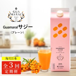 【ふるさと納税】【定期便3カ月】サジー グアマラルサジー 1000ml　毎月1本3カ月コース｜サジージュース サジー シーベリー 沙棘 グアマ