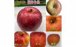 【ふるさと納税】訳ありりんご＜サンふじ＞10kg(24玉〜46玉)　＜令和6年11月下旬〜随時発送開始＞【1486198】