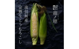 【ふるさと納税】南信州産 完熟生とうもろこし 約3kg(6本〜8本)【1511502】