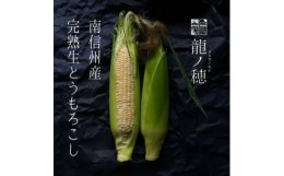 【ふるさと納税】南信州産 完熟生とうもろこし 約5kg(10本〜14本)【1511503】