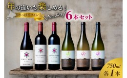 【ふるさと納税】さっぽろワイン　年の違いも楽しめるたっぷり６本セット（750ｍｌ×6本）