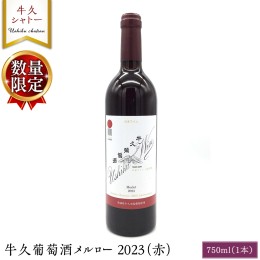 【ふるさと納税】【 数量限定 】 牛久葡萄酒メルロー 2023（赤） 750ml 1本 お酒 牛久シャトー ワイナリー 赤ワイン ぶどう 国産ぶどう 