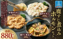 【ふるさと納税】鹿すじ煮込み+ホルモンセット 合計880g(鹿すじ煮込み 480g・塩ホルモン 200g・味噌ホルモン 200g)