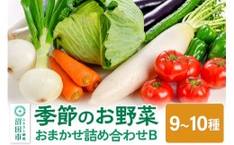 【ふるさと納税】季節のお野菜 おまかせセット B（9〜10種類）詰め合わせ