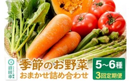 【ふるさと納税】季節のお野菜 おまかせセット 季節ごとの3回お届け 定期便（1回あたり5〜6種類）詰め合わせ