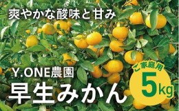 【ふるさと納税】【先行受付】【数量限定】【家庭用】早生みかん（生果）5kg｜柑橘 みかん 温州みかん ミカン 蜜柑 果物 フルーツ 愛媛県