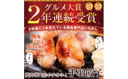 【ふるさと納税】8秒に1本売れてます!手羽先餃子10本セット/水郷のとりやさん【1510425】