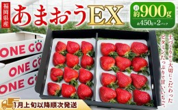 【ふるさと納税】【ギフト用／特別栽培】 福岡県産 あまおう EX 約450g×2パック 【2025年1月上旬〜3月下旬発送予定】 いちご イチゴ 苺 