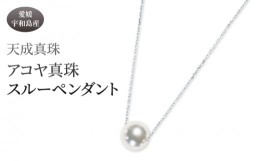 【ふるさと納税】アコヤ真珠 スルー ペンダント 8.0mm 天成真珠 アクセサリー ファッション 真珠 パール 高級 プレゼント 贈り物 贈答品 