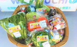 【ふるさと納税】【化学肥料・農薬不使用なので安心・安全】季節の新鮮野菜の詰め合わせ