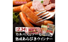 【ふるさと納税】燻製屋熟成あらびきウインナー・ソーセージセットB【丸大食品】