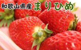 【ふるさと納税】【2025年5月より順次発送】和歌山県産ブランドいちご「まりひめ」約300g×2パック入り※2025年5月上旬〜2025年5月下旬ご