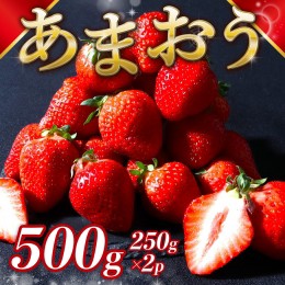 【ふるさと納税】福岡県産 あまおう 500g 送料無料 いちご 果物 フルーツ ギフト 季節限定 スイーツ ケーキ ブランド 先行予約 2025年2月