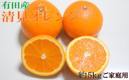 【ふるさと納税】【濃厚】有田産清見オレンジ約5kg(M〜3Lサイズおまかせ)ご家庭用 ※2025年2月下旬〜3月中旬頃に順次発送予定