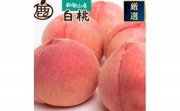 【ふるさと納税】＜7月発送＞和歌山の厳選 白桃 約1.5kg 化粧箱入り 白鳳 清水白桃 川中島【IKE16】