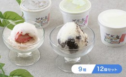【ふるさと納税】オリジナル ジェラート アイス 12個 セット 9種 アイスクリーム
