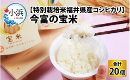 【ふるさと納税】今富の宝米 特別栽培米福井県産コシヒカリ パックご飯 150g × 20パック