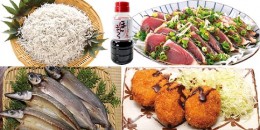 【ふるさと納税】海の幸セット（惣菜4種類+ポン酢）カツオのたたき 干物 ちりめんじゃこ 青さのりコロッケ 冷凍弁当おかず 刺身【R00799