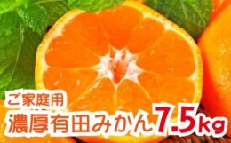 【ふるさと納税】【先行予約】【2024年11月発送】農園直送！完熟有田みかん 約7.5kg 予約 和歌山 有田みかん みかん【11月発送】