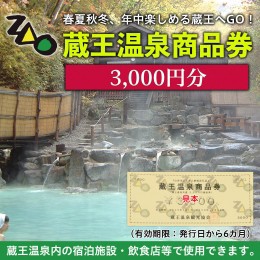 【ふるさと納税】蔵王温泉商品券  3,000円分 FY19-512