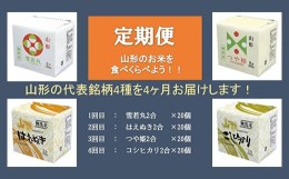 【ふるさと納税】【4ヶ月連続定期便】無洗米キューブ米 4種(300g×各20個)×4回 FY20-384